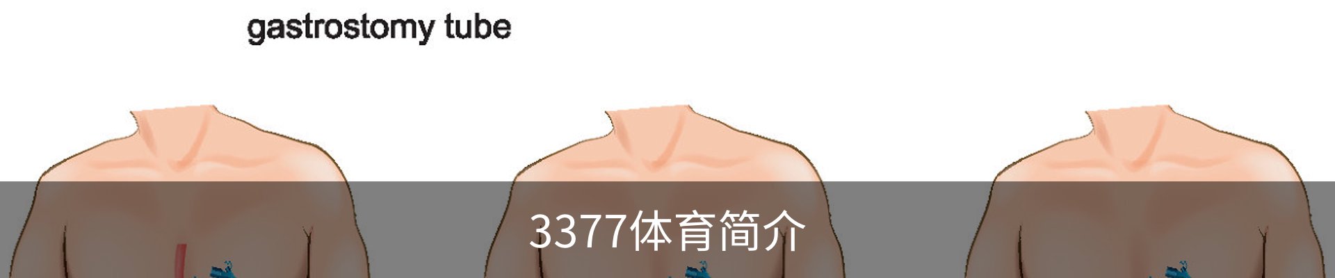3377体育简介